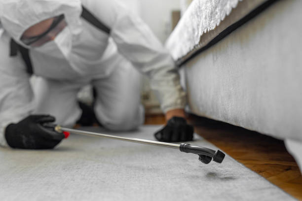 Professional Mosquito Control technician working in Hillsboro Beach, FL