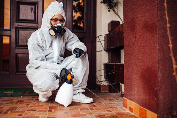 Reliable Mosquito Control contractor in Hillsboro Beach, FL by Nex Pest Control