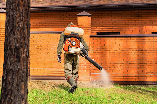 Trusted Termite Control service in Hillsboro Beach, FL - Nex Pest Control